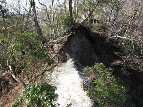 20200110hike (124)